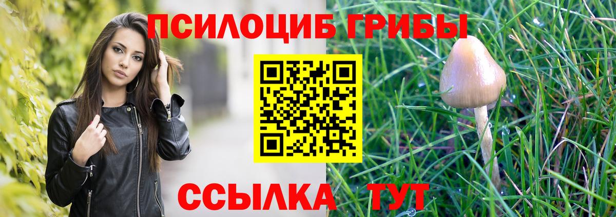 Галлюциногенные грибы Psilocybe  Псилоцибиновые грибы Cubensis  Рославль  Вход с VPN 